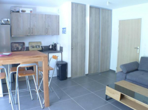 Appartement Neuf 2 Pièces avec Terrasse et Parking - Résidence de Standing entre Samoëns et Morillon - FR-1-629-128